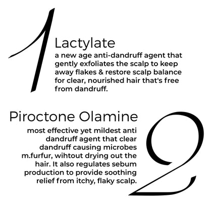 Brillare Lactylate Shampoo key actives mentioned in Text include: Lactylate and Piroctone Olamine.