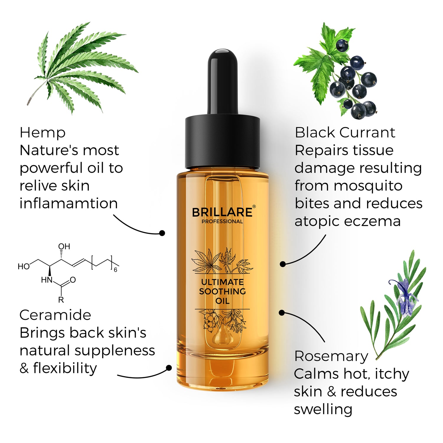 key active of Brillare Professional  Ultimate Soothing oil mentioned in text include: Black currant, ceramide and rosemary. 